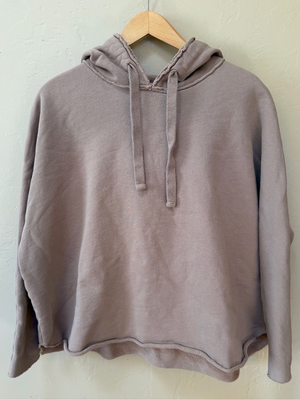 Frank & Eileen Kane Capelet Hoodie Size Xs